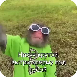 🌟 emoji Пак нейрика Telegram sticker 20 of 50