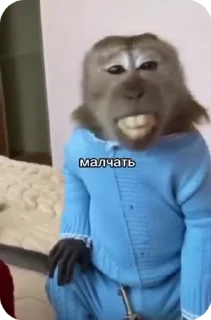 🌟 emoji Пак нейрика Telegram sticker 19 of 50