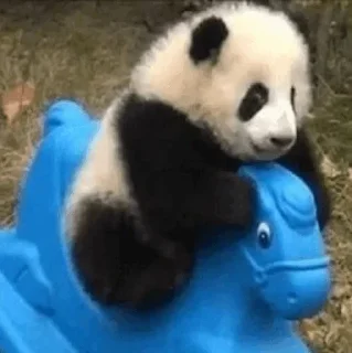 🐼 emoji 𝓑𝔂" @LollyGif|@LollySticker "🐼🤍 Telegram sticker 9 of 38