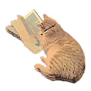 🐈 emoji @cutepink0s Telegram sticker 15 of 50