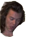😲 emoji Harry Styles Telegram sticker 20 of 45