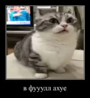 😮 emoji бред деда @vvoorrooyy Telegram sticker 15 of 76