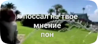 🇷🇴 emoji Обезьянки поны 11 Telegram sticker 14 of 27