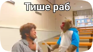 🇷🇴 emoji Обезьянки поны 11 Telegram sticker 12 of 27