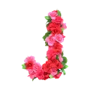 🌹 emoji BN Roses Alphabet🌹 Telegram sticker 10 of 27