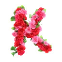🌹 emoji BN Roses Alphabet🌹 Telegram sticker 11 of 27