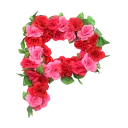 🌹 emoji BN Roses Alphabet🌹 Telegram sticker 16 of 27