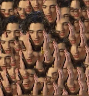 😪 emoji Timothée Chalamet Telegram sticker 22 of 28