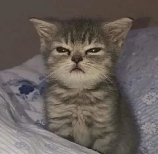😑 emoji Ніка Telegram sticker 19 of 21