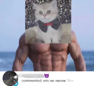 🏋️‍♂️ emoji лютик🫶 Telegram sticker 11 of 12