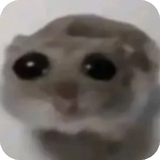 👍 emoji пан ипсо Telegram sticker 7 of 17