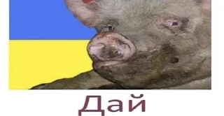 🇺🇦 emoji пан ипсо Telegram sticker 17 of 17