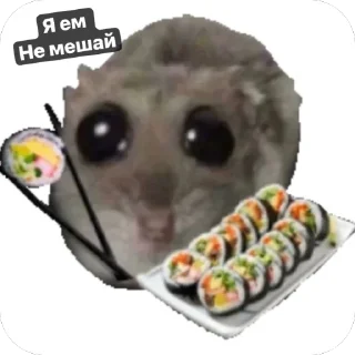 😡 emoji Хомячки 🤍 Telegram sticker 7 of 18