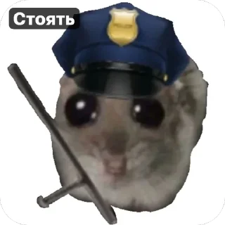 👮‍♀️ emoji Хомячки 🤍 Telegram sticker 12 of 18