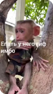 🌟 emoji Пак нейрика 3 Telegram sticker 8 of 50