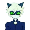 😐 emoji Miraculous ladybug & cat noir Telegram sticker 6 of 56