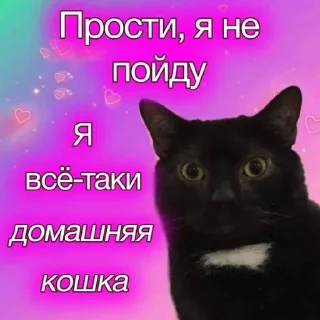 Sticker from котикии