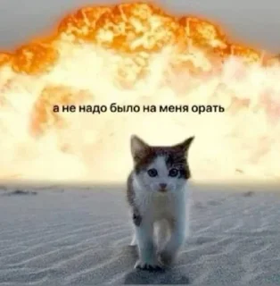 Sticker from котикии