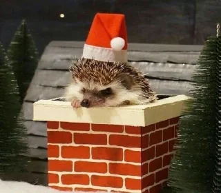 🎄 emoji Ёжики Telegram sticker 17 of 38
