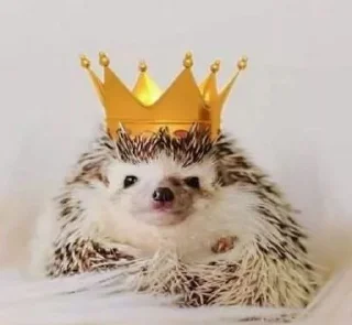 👑 emoji Ёжики Telegram sticker 13 of 38