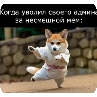 🔥 emoji Жижа шалит 3 (ахунть) Telegram sticker 18 of 120