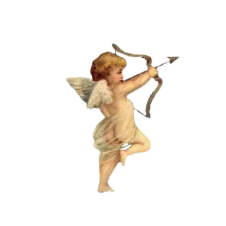 🕊 emoji @poemsflow Telegram sticker 13 of 45
