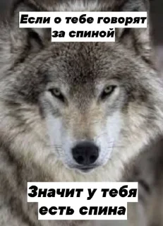 🐺 emoji Фо Хорни Волк любимый Telegram sticker 7 of 112