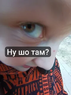 🌟 emoji Бобри в тємє Telegram sticker 8 of 12