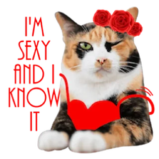😏 emoji Messenger Kingdom of Tigers Telegram sticker 22 of 25
