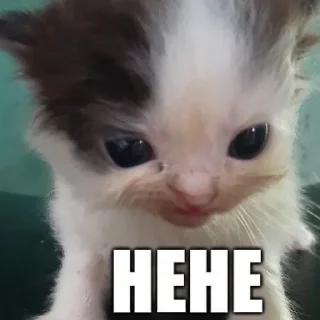 🤭 emoji няняня Telegram sticker 10 of 108