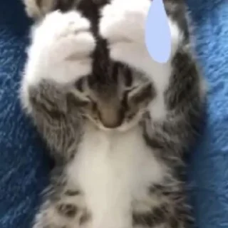 😿 emoji няняня Telegram sticker 19 of 108