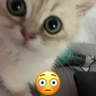 😳 emoji лютик🫶 Telegram sticker 9 of 12