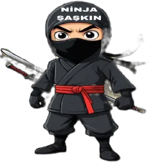 🫥 emoji NİNJA Telegram sticker 22 of 31