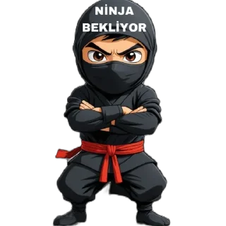 🫥 emoji NİNJA Telegram sticker 23 of 31