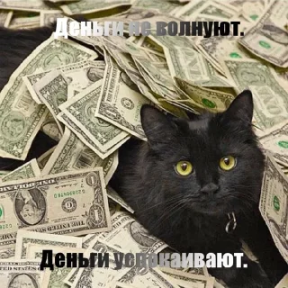 💴 emoji Котики!! Telegram sticker 13 of 27