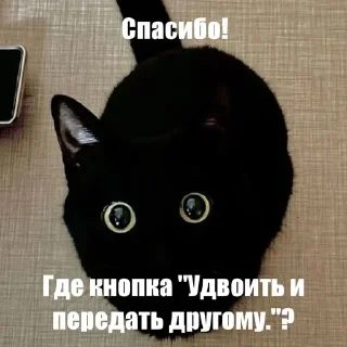 🤭 emoji Котики!! Telegram sticker 20 of 27