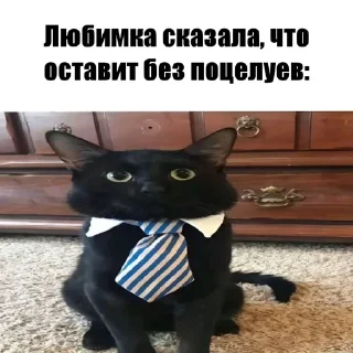 😨 emoji Котики!! Telegram sticker 8 of 27