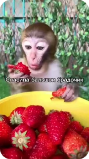 Sticker from Пак нейрика 3