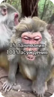 🌟 emoji Пак Нейрика 4 Telegram sticker 10 of 50