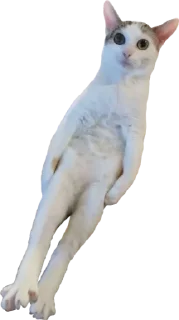 Sticker from Normal Emojis