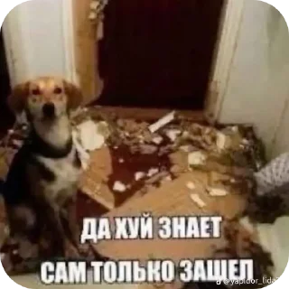 Sticker from несусветный лапух