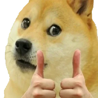 👍 emoji V 5 | @BriefBoy | @Sulfux Telegram sticker 24 of 89