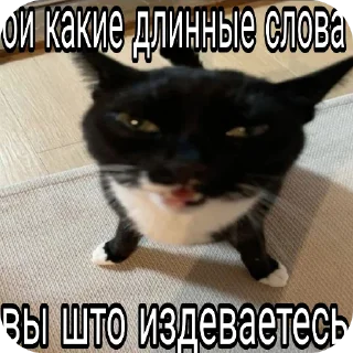 Sticker from несусветный лапух