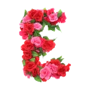 🌹 emoji BN Roses Alphabet🌹 Telegram sticker 5 of 27