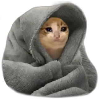 😭 emoji Fav Telegram sticker 23 of 119