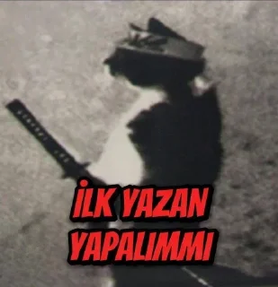 Sticker from 🏴‍☠️ @OBirSanalTanrisi 🏴‍☠️
