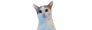 😼 emoji Normal Emojis Telegram sticker 8 of 43