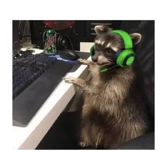 💚 emoji Cute Raccoon Telegram sticker 13 of 22