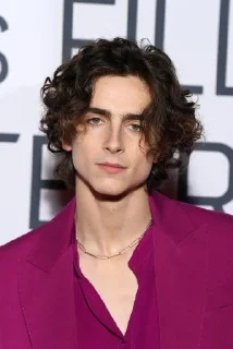 👀 emoji Timothée Chalamet Telegram sticker 1 of 28