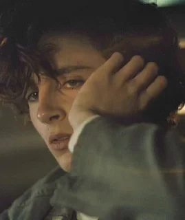 😔 emoji Timothée Chalamet Telegram sticker 5 of 28